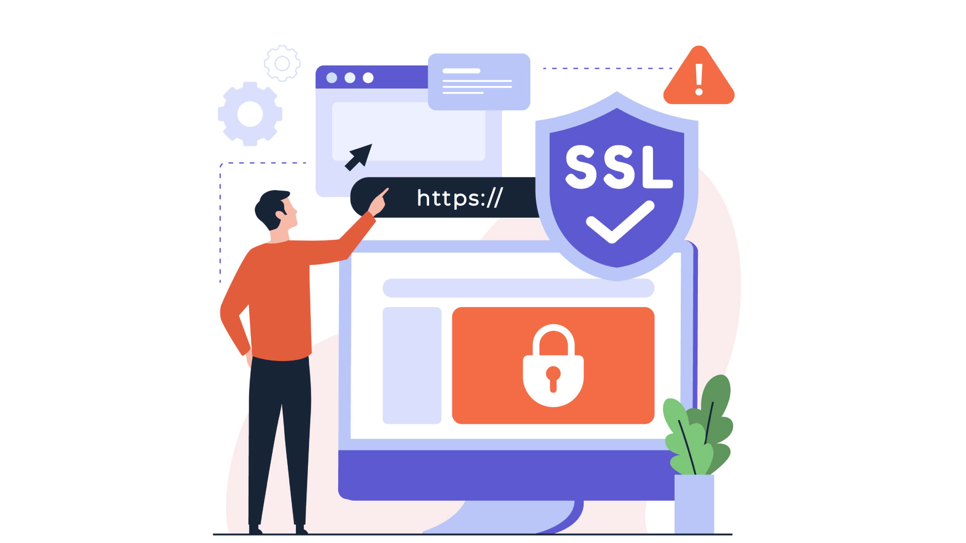 Professional WordPress maintenance company SSL and TLS