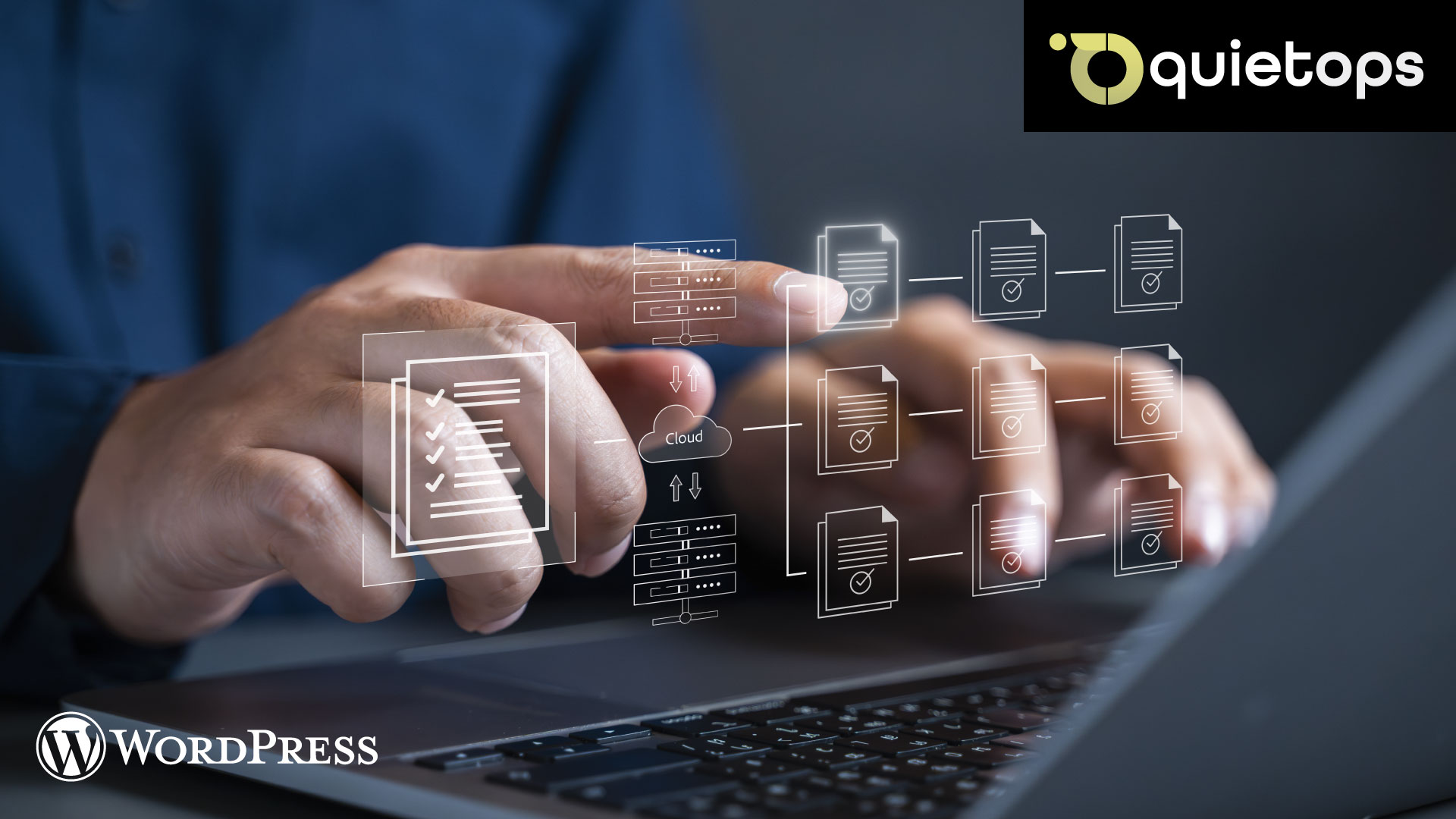 WordPress Maintenance Step by Step Guide Database bloat