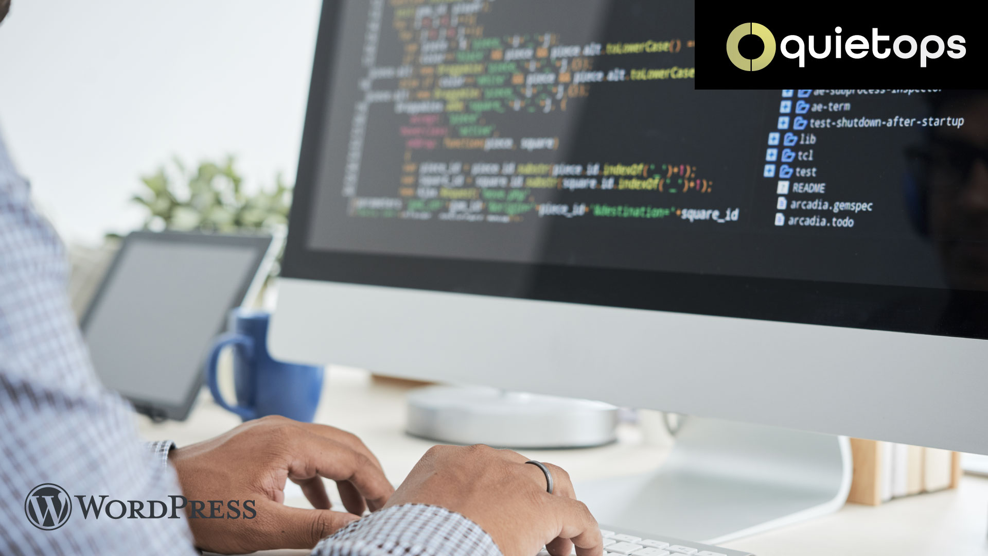 WordPress Maintenance Step by Step Guide Revision