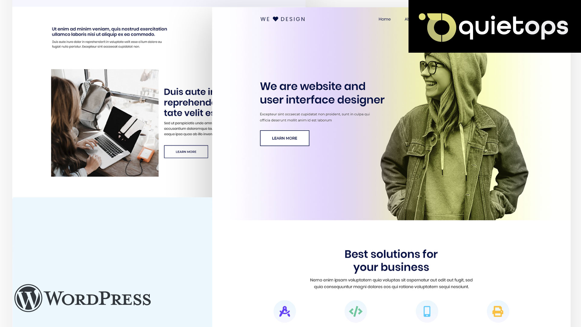WordPress Maintenance Step by Step Guide Theme conflict