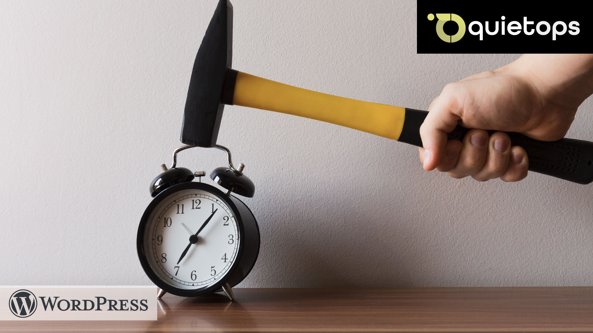 WordPress maintenance step by step guide cron jobs