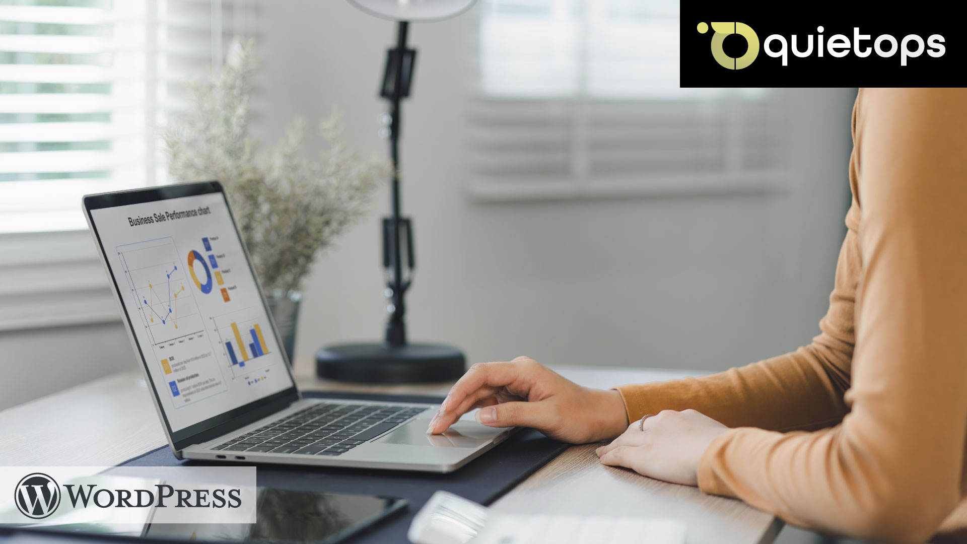 WordPress maintenance step by step guide performance